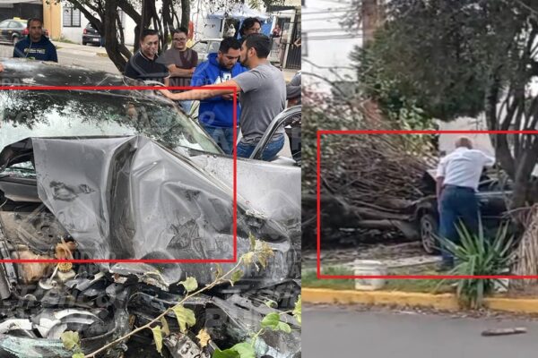 ¡Tragedia en La Margarita! Conductor de la tercera edad ebrio atropella a personas, embiste a motociclistas y derriba un árbol en intento de fuga