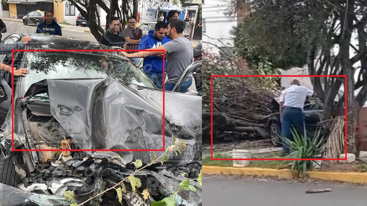 ¡Tragedia en La Margarita! Conductor de la tercera edad ebrio atropella a personas, embiste a motociclistas y derriba un árbol en intento de fuga