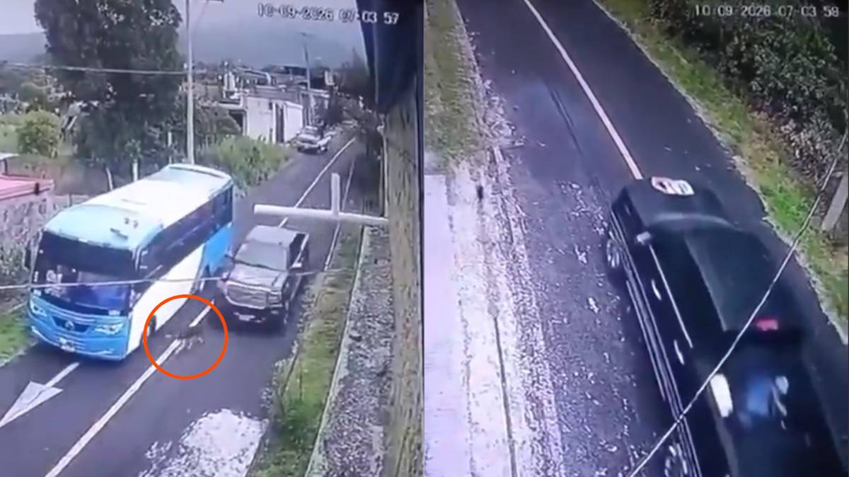 Captan en video a camioneta que atropella presuntamente a propósito a un perro en Atlixco, Puebla
