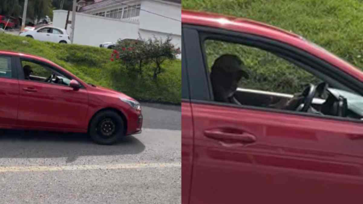 Joven denuncia presunto acoso de automovilista en La Paz, Puebla; difunde video y alerta a otras mujeres